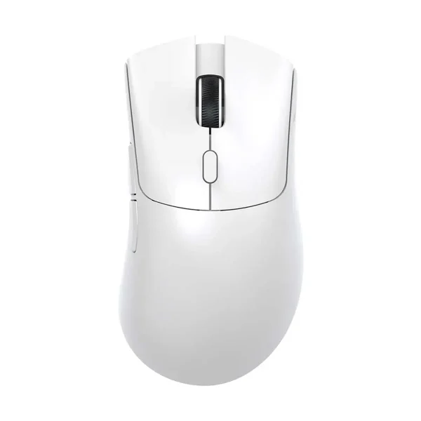 R1 MOUSE